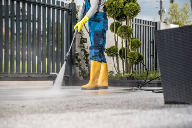 Best Soft Washing  in Chesapeake, WV
